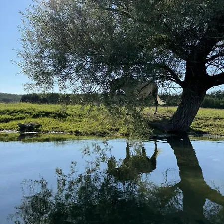Country House-listani Holiday home