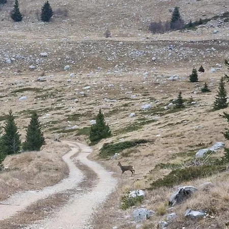 Listani-renta Quad リヴノ