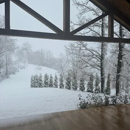 Listani-renta Quad